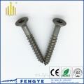 Tornillo de madera de acero inoxidable tornillo de tapping Torx